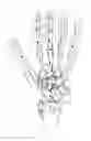 Fig. 04 - Glove for use in collecting data for sign language recognition