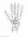 Fig. 06 - Glove for use in collecting data for sign language recognition