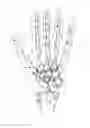 Fig. 07 - Glove for use in collecting data for sign language recognition