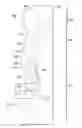 Fig. 01 - Spinal injection trainer and methods therefor
