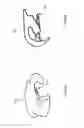 Fig. 09 - DO-IT-YOURSELF TAXIDERMY KIT