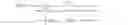 Fig. 06 - Multi-stream spectral representation for statistical parametric speech synthesis