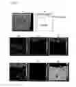 Fig. 03 - Production method for R-T-B sintered magnet