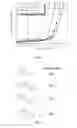 Fig. 06 - Hydrophilic conjugated polymers, and methods of preparation and use thereof