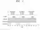 Fig. 07 - Plasma stabilization method and deposition method using the same