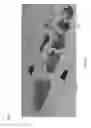 Fig. 09 - Field terminable telecommunications connector