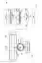 Fig. 02 - METHOD OF EXPOSING A GLASS-COATED MICROWIRE AND USES THEREOF