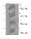 Fig. 06 - Thin chassis near field communication (NFC) antenna integration