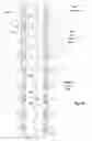 Fig. 07 - Magnetic linear fader