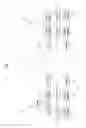 Fig. 02 - Method and apparatus for transmitting and receiving information related to SRS transmission in FDR mode