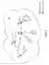Fig. 02 - HANDLING SOURCE ROUTED CONTENT
