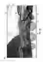 Fig. 09 - Mounting Device for Portable Multi-Stream Video Recording Device