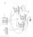 Fig. 02 - METHOD AND APPARATUS FOR DETECTING AND MEASURING FOR HOME NODE-BS