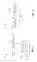 Fig. 04 - Backhaul link for distributed antenna system
