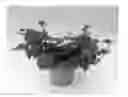 Fig. 01 - plant named ‘KLEVP15488’