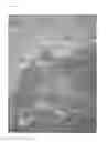 Fig. 04 - METHOD FOR PRODUCING ANIMAL MODEL OF OSTEOBLASTIC BONE METASTASIS
