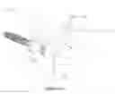 Fig. 07 - Fishing Lure Container