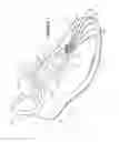 Fig. 02 - Footwear having an upper with forefoot tensile strand elements