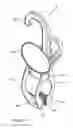 Fig. 02 - Clip
