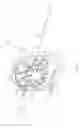 Fig. 31 - Surface cleaning apparatus
