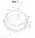 Fig. 10 - Dish washer comprising an auxiliary arm with stoppers