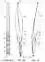 Fig. 03 - Clot retrieval system