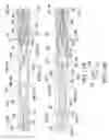 Fig. 09 - Clot retrieval system