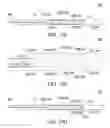 Fig. 13 - Clot retrieval system