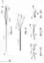 Fig. 34 - Clot retrieval system