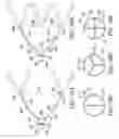 Fig. 68 - Clot retrieval system