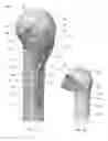 Fig. 02 - Proximal humeral stabilization system