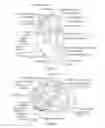 Fig. 02 - Coaptation enhancement implant, system, and method