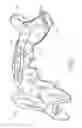Fig. 02 - Passive tongue retention device