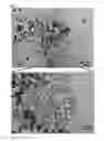 Fig. 02 - Conjugated polymer nanoparticles and manufacturing method thereof