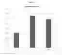 Fig. 07 - METHODS OF INCREASING LATENCY OF ANESTHETIC INDUCTION USING KETONE SUPPLEMENTATION