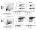 Fig. 01 - Activation of marrow infiltrating lymphocytes in hypoxic alternating with normoxic conditions