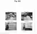 Fig. 167 - Functions of 55 Newfound Proteins and Their Medicinal Application in the Treatment and Prevention of Disease
