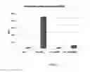 Fig. 06 - Particles comprising single stranded RNA and double stranded RNA for immunomodulation