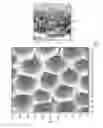Fig. 07 - Metal(loid) chalcogen nanoparticles as universal binders for medical isotopes