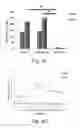 Fig. 07 - Functionalized zwitterionic and mixed charge polymers, related hydrogels, and methods for their use
