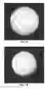Fig. 02 - BIOACTIVE IMPLANTS AND METHODS OF MAKING AND USING