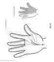 Fig. 49 - Method and apparatus for transdermal stimulation over the palmar and plantar surfaces