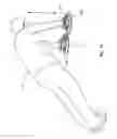 Fig. 08 - Exercise Device with a Gliding Element