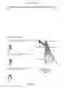 Fig. 46 - Method and system for authoring animated human movement examples with scored movements