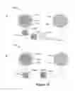 Fig. 16 - METHOD OF CONCENTRATING BEADS IN A DROPLET
