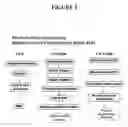 Fig. 02 - INTEGRATED SAMPLE PREPARATION SYSTEMS AND STABILIZED ENZYME MIXTURES
