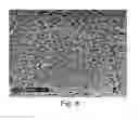 Fig. 06 - BIAXIALLY ORIENTED POROUS MEMBRANES, COMPOSITES, AND METHODS OF MANUFACTURE AND USE
