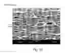 Fig. 09 - BIAXIALLY ORIENTED POROUS MEMBRANES, COMPOSITES, AND METHODS OF MANUFACTURE AND USE