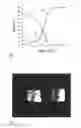 Fig. 02 - SURFACE-FINISHED STEEL SHEET AND METHOD FOR THE PRODUCTION THEREOF