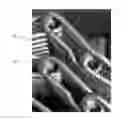 Fig. 01 - HIGH TEMPERATURE CONVEYOR BELT